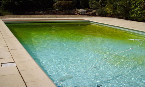 Nettoyer une piscine verte